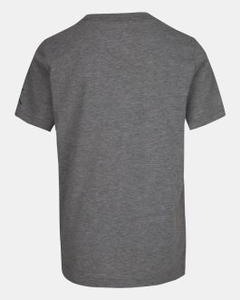 Z/NIKE JORDAN GRIS Y VERDE TALLA L