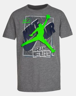 Z/NIKE JORDAN GRIS Y VERDE TALLA L