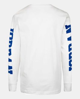 Z/CAMISETA NIKE JORDAN  100% ALGODON